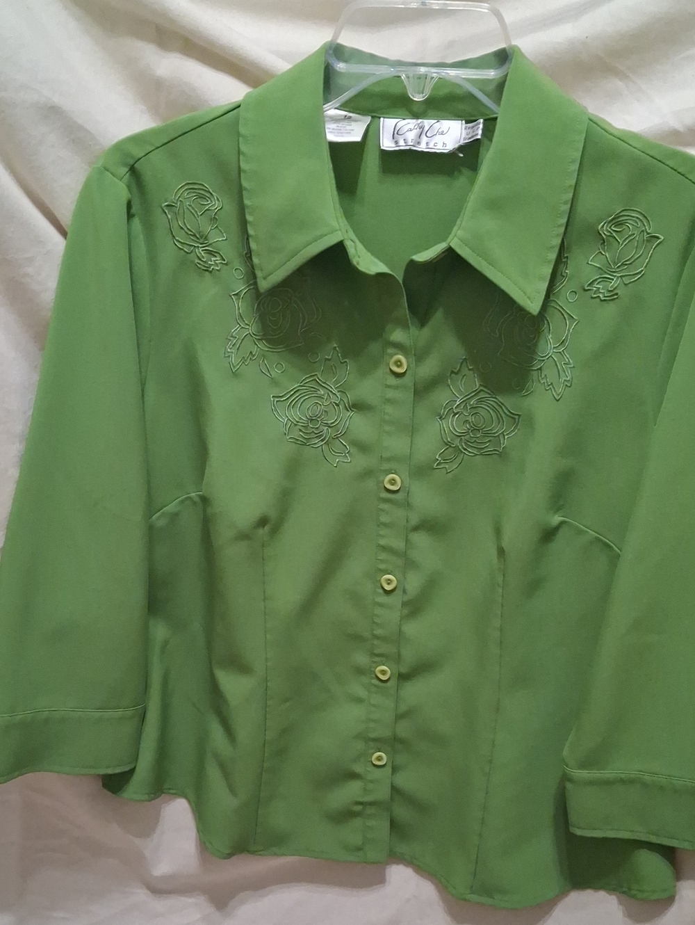 Light Green Embroidered Button-Down Blouse